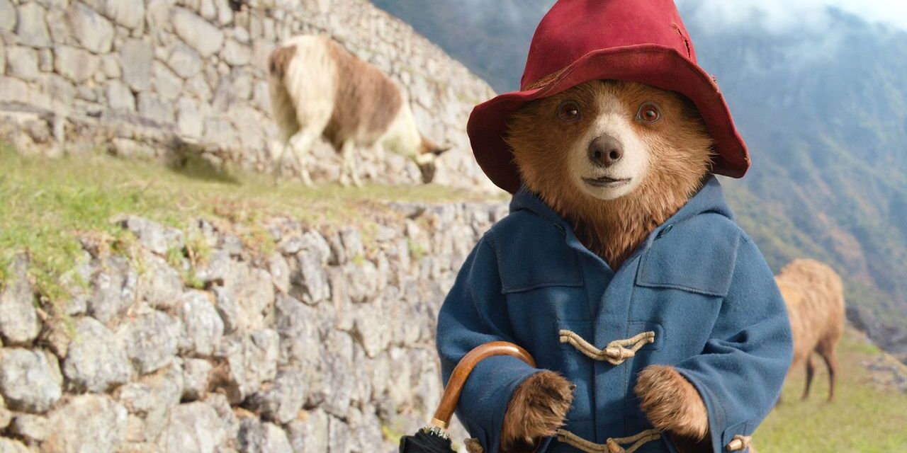 Paddington in Peru